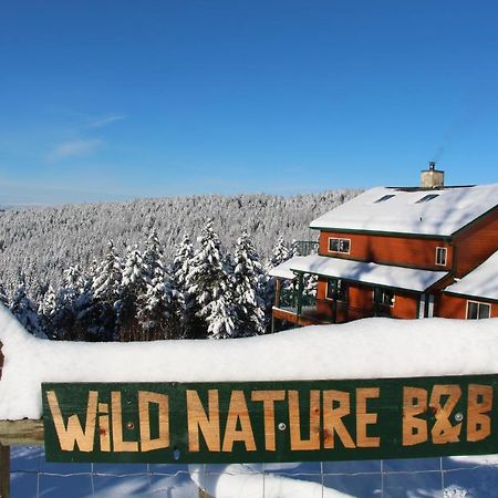 Wild Nature B&B Κελόουνα  Εξωτερικό φωτογραφία