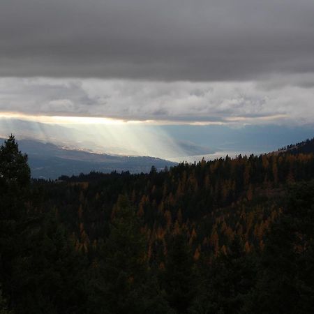 Wild Nature B&B Κελόουνα  Εξωτερικό φωτογραφία