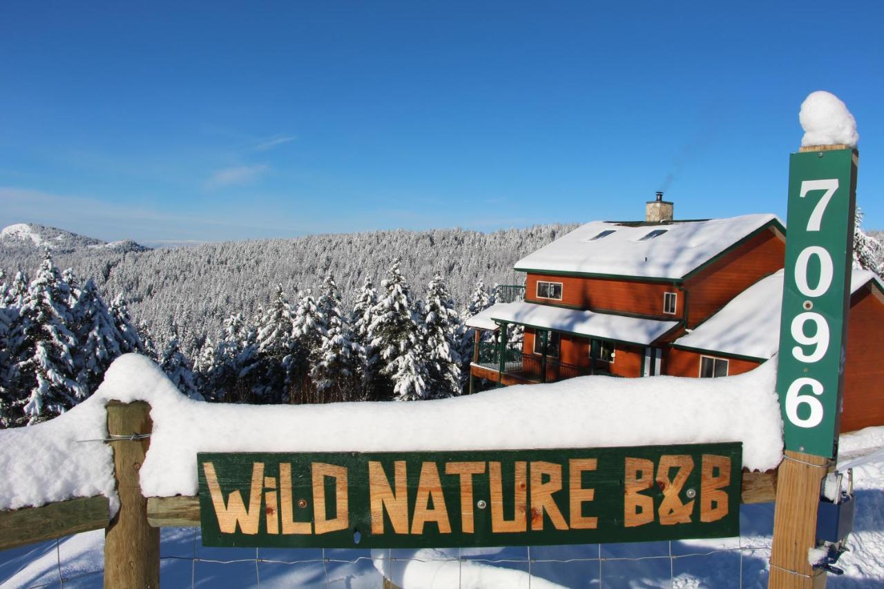 Wild Nature B&B Κελόουνα  Εξωτερικό φωτογραφία