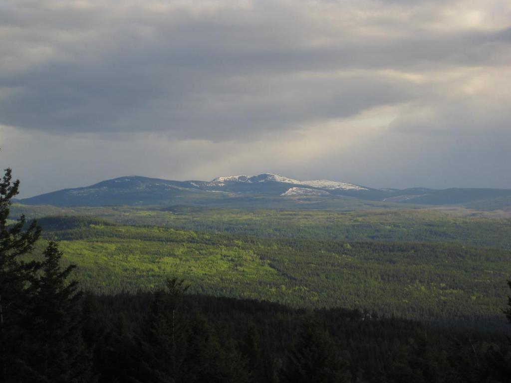 Wild Nature B&B Κελόουνα  Εξωτερικό φωτογραφία